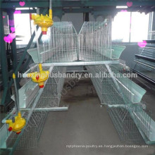 Diseño galvanizado para aves de corral pollo de engorde jaula de pollo